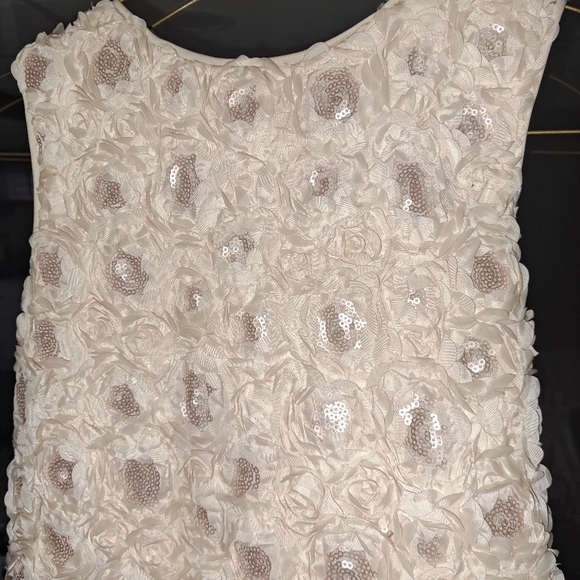 Girls dresses sz 10/12 - Picture 11 of 16